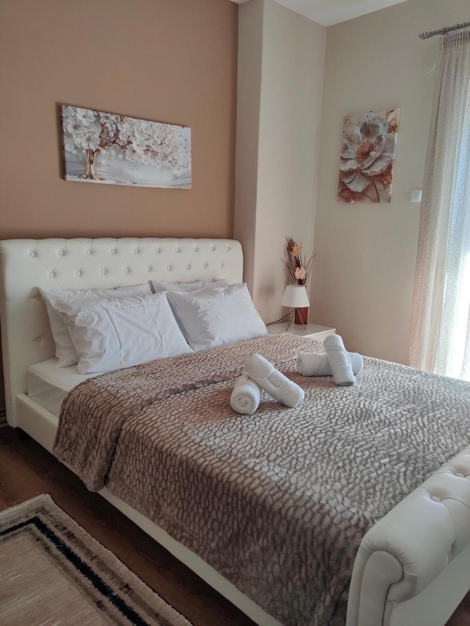 Crestio Apartment Καστοριά Buitenkant foto